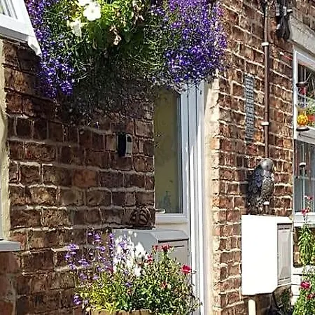 Saltburn Holidays Primrose Σπίτι διακοπών *